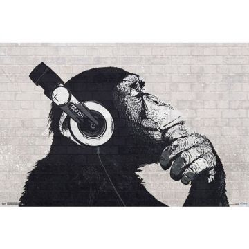 Chimp In Headphones 