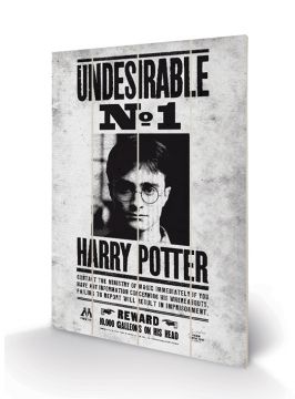 Harry Potter Undesirable No 1 - Wooden Wall Art